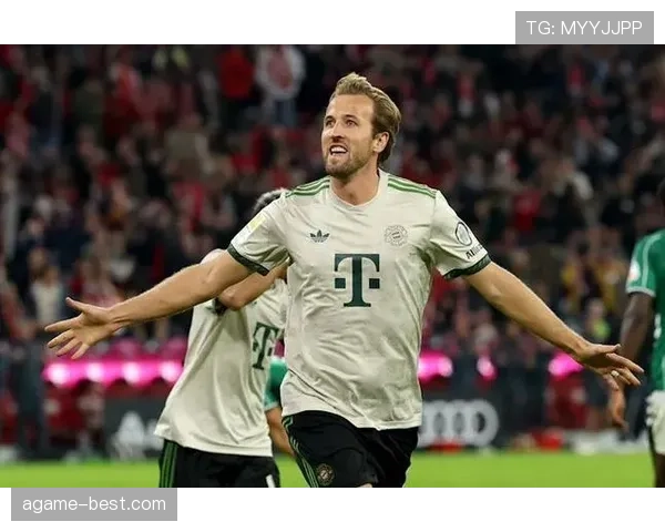 凯恩与莱万：终结集中度分化，体系依赖性偏移