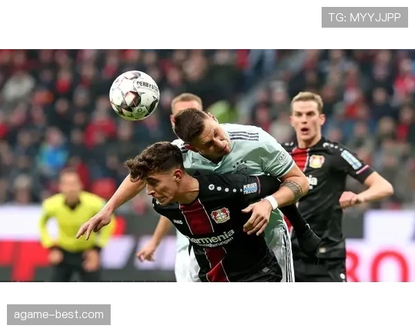 近距离手球判罚为何比远距离更难界定？专家解读规则细节